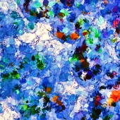 Wiens (1) Img #1  Kaleidoscope