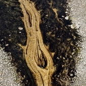 10th - OA - J - 5th - Photo - Austen (1) Img #2  Plume