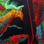 Case (1) Img #2  Divided Neighborhood