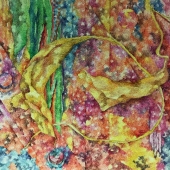 Lazo-Flores (1) Img #1  Drifted Over