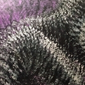 Watson (3) Img #2  Secrets of the Deep