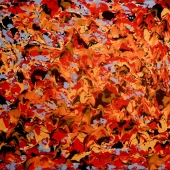 Seghetta (1) Img #3  Fire in the Sky