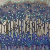 Stanton (1) Img #3  Waking in Wonderland