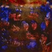 Vakil (1) Img #1 Fire