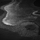 Austen (1) Img #5 Facets