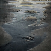 Curtis  (1) Img #4 Tidepools