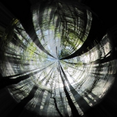 Ferguson (1) Img #1  Be Still