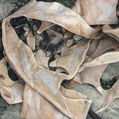 Leven (1) Img #4 Beach Debris