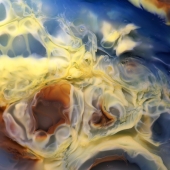 Lyon (1) Img #3 Chaos_2016