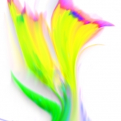 Massey (1) Img #5 Floral