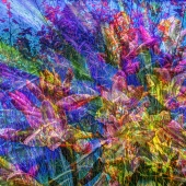 Moran (1) Img #1  6 & 10