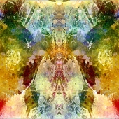 Oliver (1) Img #2  Faces