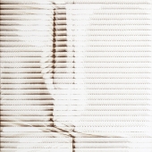 Reiter (1) Img #3  Quakes 07 e