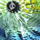 Schwartz (1) Img #5  Bending Light