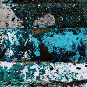 Vallis (1) Img #1  The Dream of Life