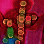 Vecchio (2) Img #1  Alien Light