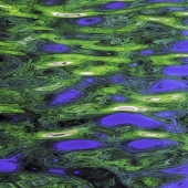 Fleury (1) Img #3  Lake Superior Reflections