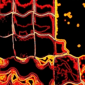 LaBrie (1) Img #1  Windows Through Time