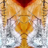 Oliver (1) Img #4  Corset