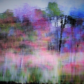 Olsen (1) Img #3  Just a Mirage....