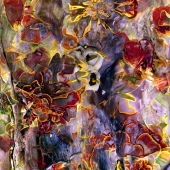 Rerucha (2) Img #3  Flowering Waterfall