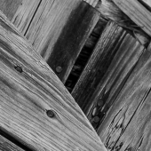 Rocha (1) Img #3 Confusion