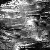 Teetelli (1) Img #5  Glacies Phantasiae VI