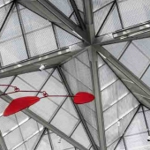 10th - Photo - Grotz (3) Img #1  Splash of Red