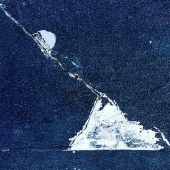 8th - Photo - Vallis (1) Img #3  Aesthetic Peacock Construction