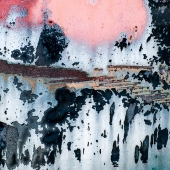 HM - Photo - Gene (2) Img #4  Used to be Pink