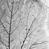 32d.   Stacey Harris - “If You Had Just a Second to Breathe”