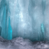 57d.   Barrack Evans - “Vermont Ice Tree #3”