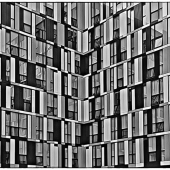 71d.   John Pingree  - “Reflected Reality”