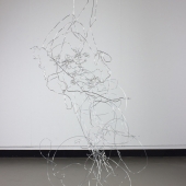 3d-5.   Alanna Huck-Scarry - “Skye Iris II”