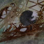 106.   Lynda Jung - “The Eye of the Spider”