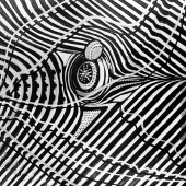 37.   Adam S. Boarman - “Gravity Waves”