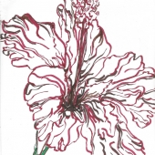 92.   Linda Jorda - “Red Hybiscus”