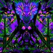 100d.  Catherine McLean - Enigma's Faces