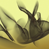 13d.   Lillianne Daigle - “Transmutation”