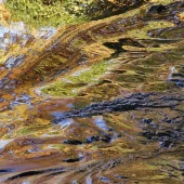 28d.   Cate Franklyn - “A Melding of Color”