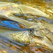 2d.   Maureen Ravnik - “Color My World”