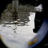 48d.   Joanne Vecchio - “Reflection”