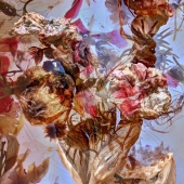 52d.   Frantisek Rerucha - “Dancing Flowers in Ice”