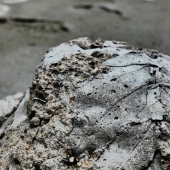 59d.   Stacey Harris - “The Whole World Turning”