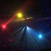 62d.   Sue Smith - “Stars Of Hollywood”