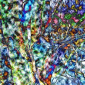 67d.   Marcia Berg Haskell - “Broken Tree”