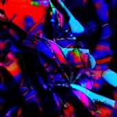 72d.   Lynn Campbell - “Where the Mind Flows”