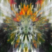 85d. Skottie OMahony - Abstract Leonurus