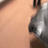 95d.   Beth McCoy - Tuxedo