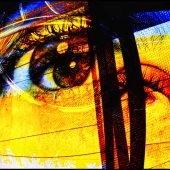 96d. Athalie Taylor - The Eyes Have It